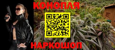 герыч Кингисепп